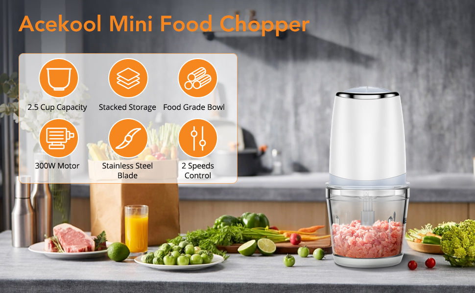 GARVEE Mini Food Processor with 2.5 Cup Glass Bowl Small Electric Food Chopper