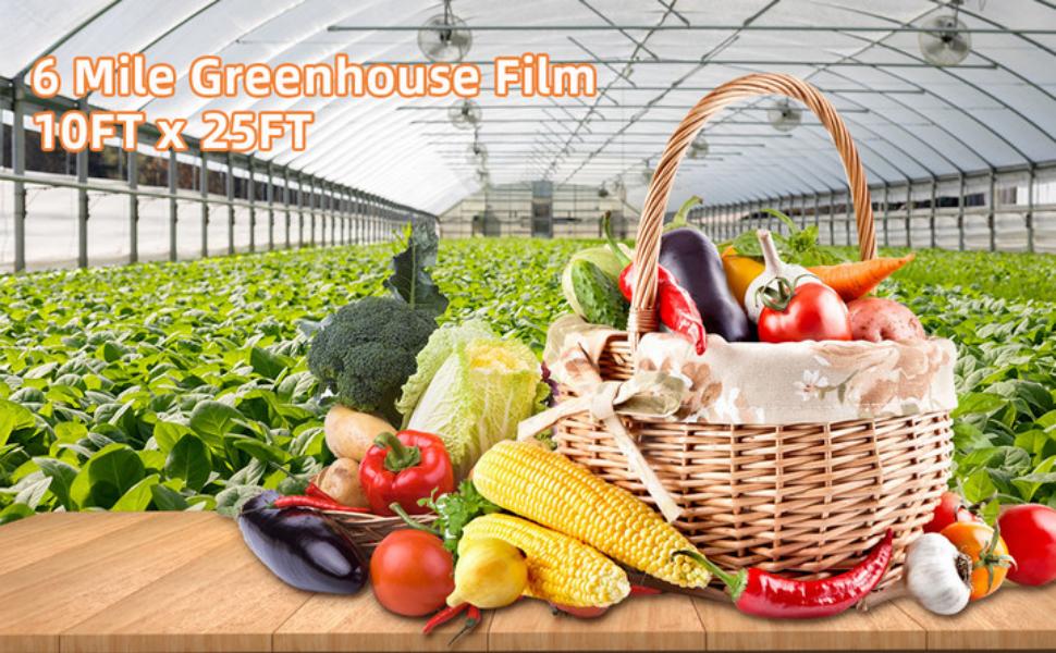 GARVEE Greenhouse Plastic Sheeting Film Cover 10FT x 25FT Plastic Sheeting UV Resistan