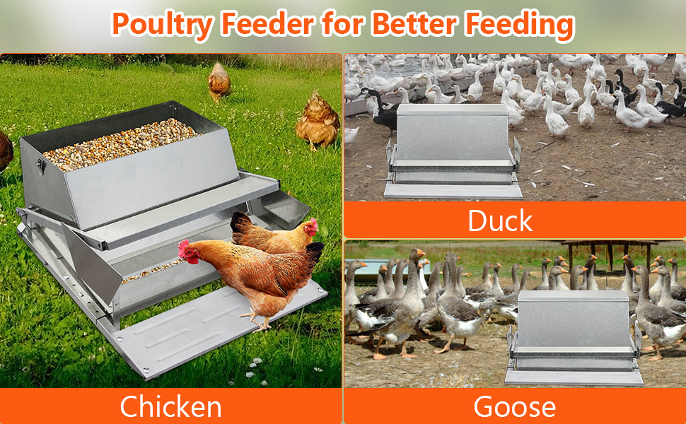 27LBs Automatic Treadle Chicken Feeder, Galvanized Steel, Outdoor