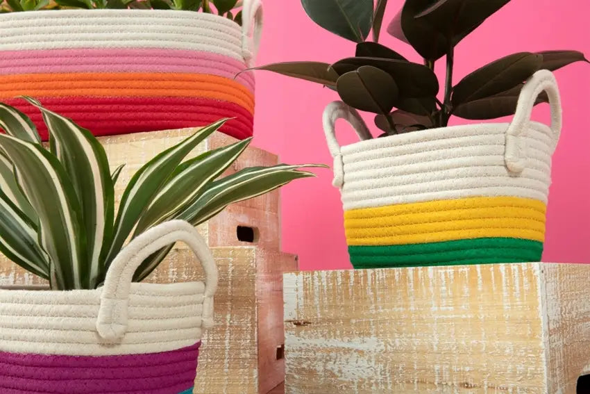 DIY Painted Rope Baskets