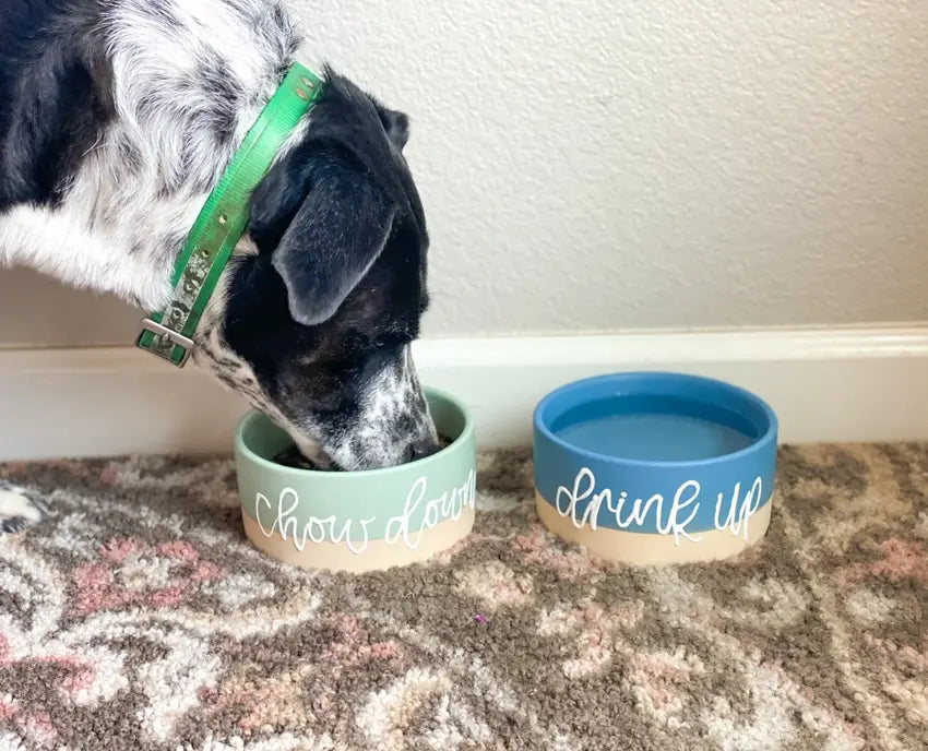 Painting tutorial for custom dog bowls