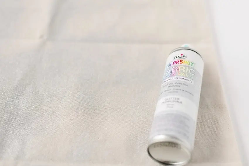 Spray a light coat of Tulip Colorshot Fabric Spray Paint