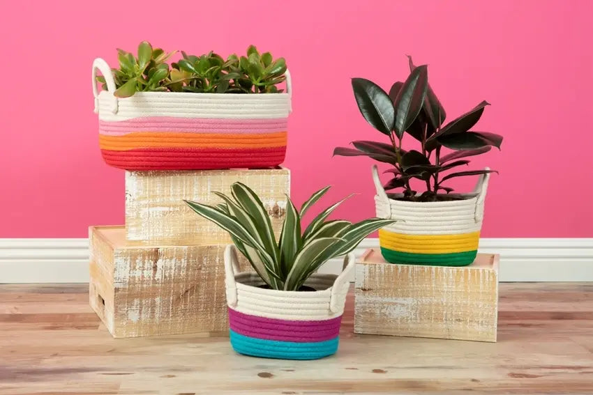 DIY Painted Rope Baskets