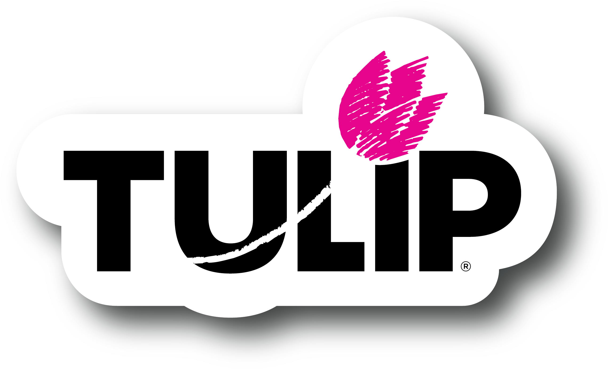 Tulip Dimensional Fabric Paint Puffy 1.25 fl. oz. 6 Pack – Tulip
