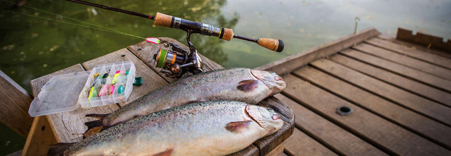 Different Types of Hunting & Fishing – FoodVacBags