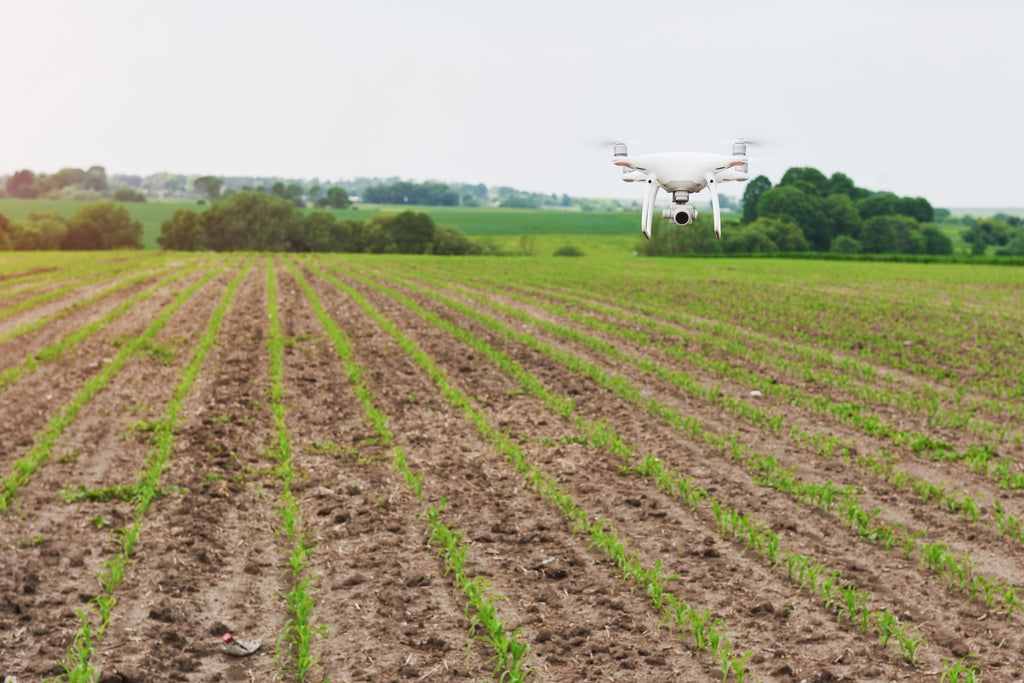 How Drones Improve Security And Monitoring On Farms?