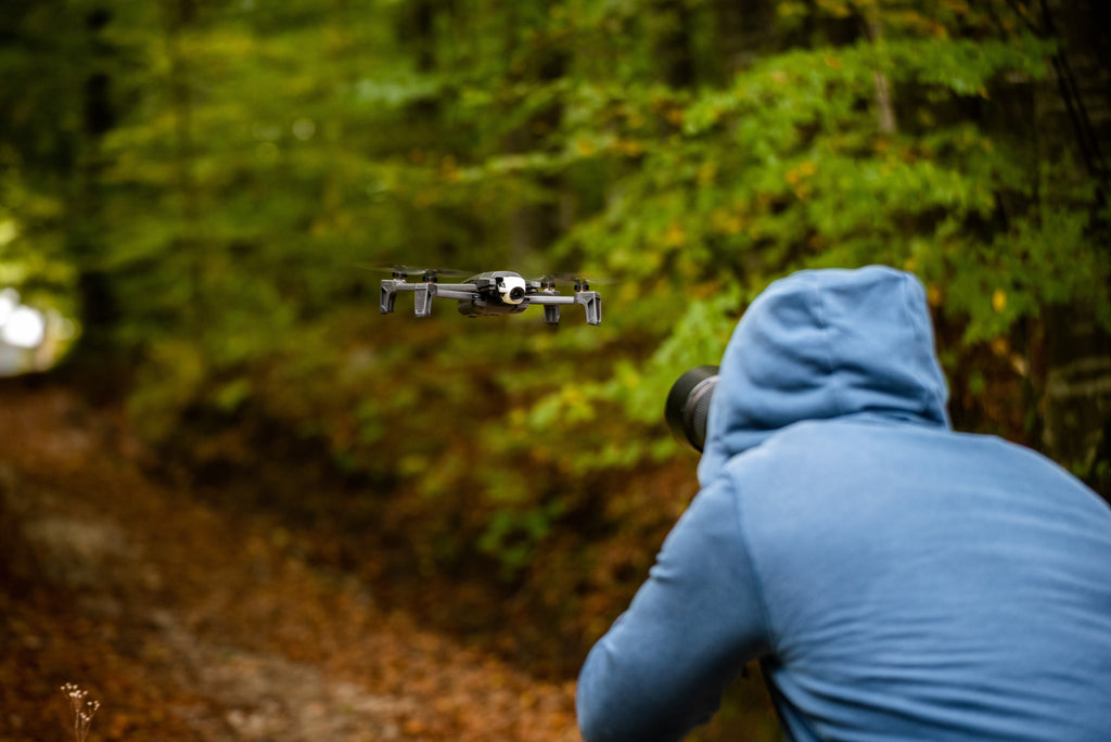 Drones in Forest Management