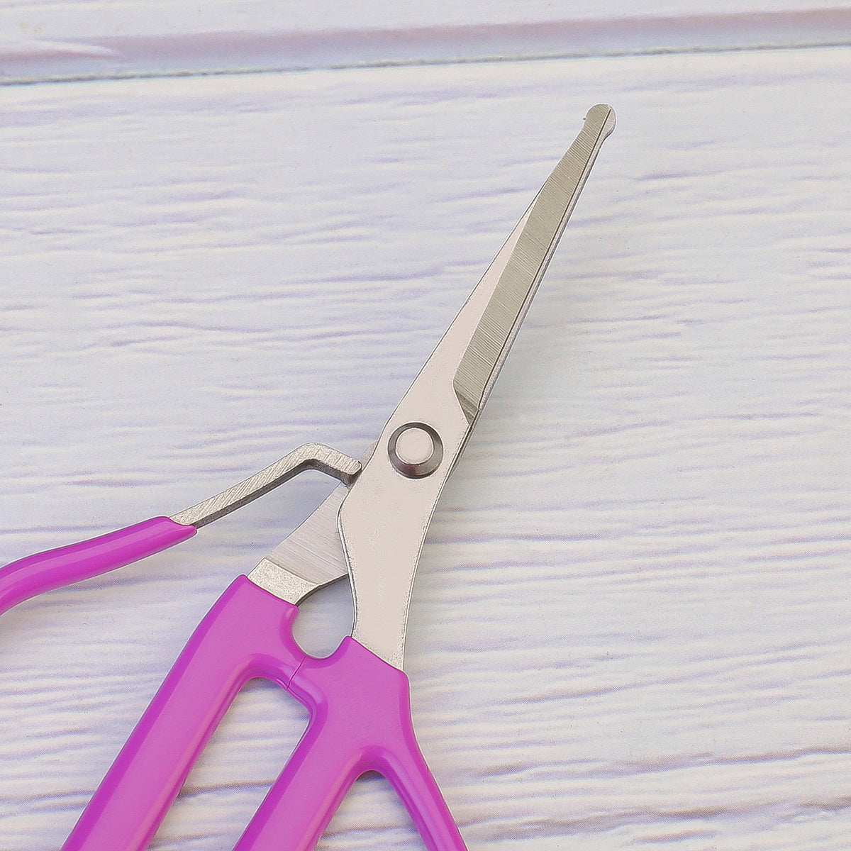 grape scissors