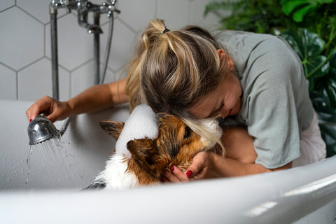 Woman is washing her dog in the bathtub and enjoying her time.