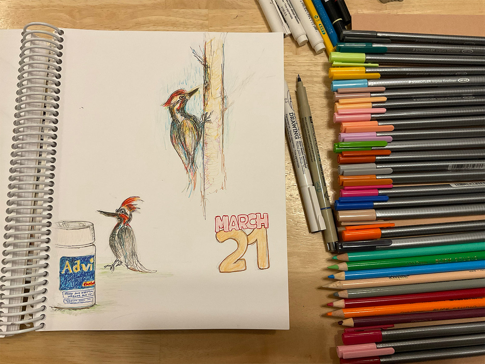 My daily doodle book, daily doodling, woodpecker drawing, advil drawing, doodling