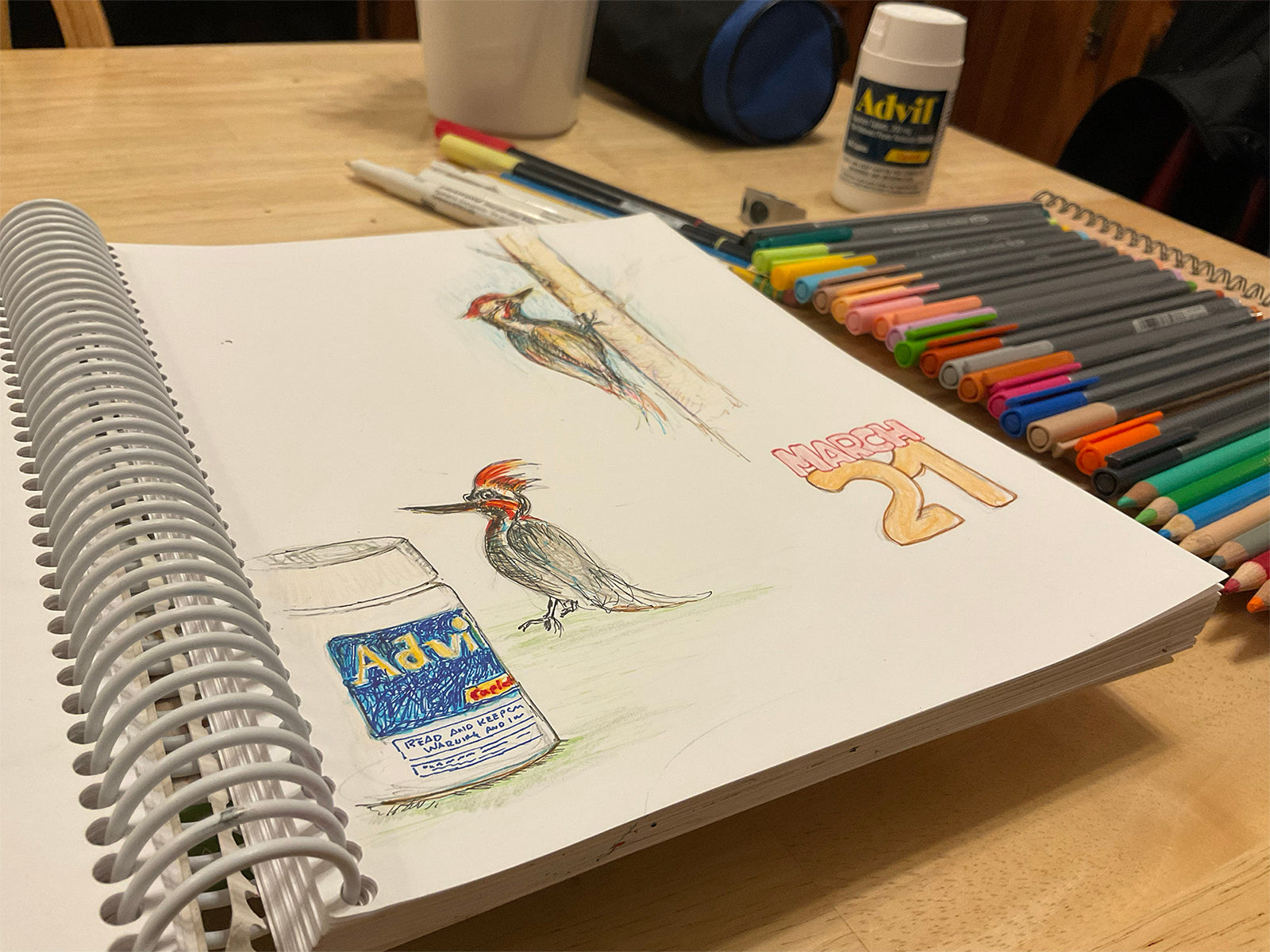 Start a daily doodle journal, daily doodling, woodpecker drawing, advil drawing