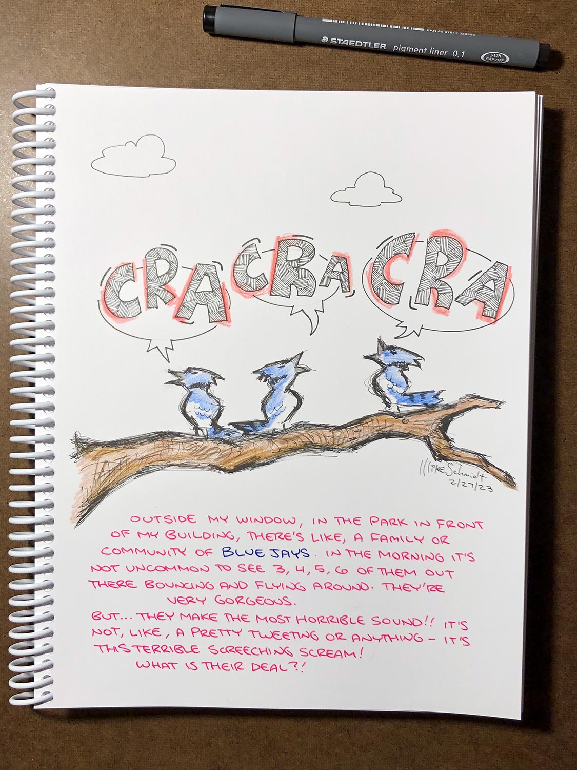 daily doodle, blue jay doodle, journaling