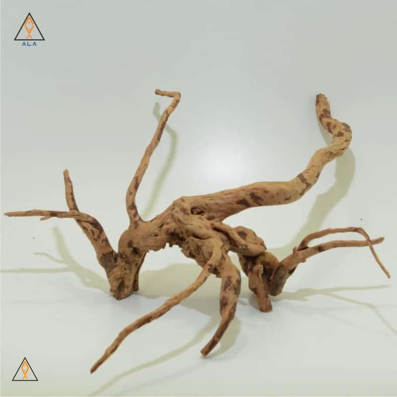 Spider Wood  Aquarium Depot