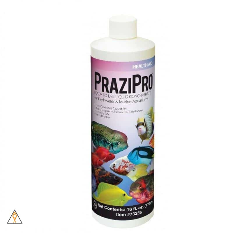 What Does Prazipro Treat: Understanding Its Powerful Use