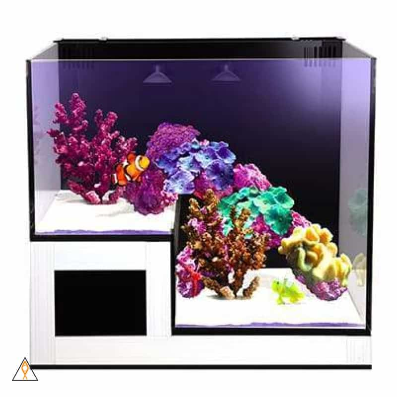 Innovative Marine Nuvo Fusion 50 Gallon Lagoon Tank & High Gloss WHITE  Stand - Includes Freight