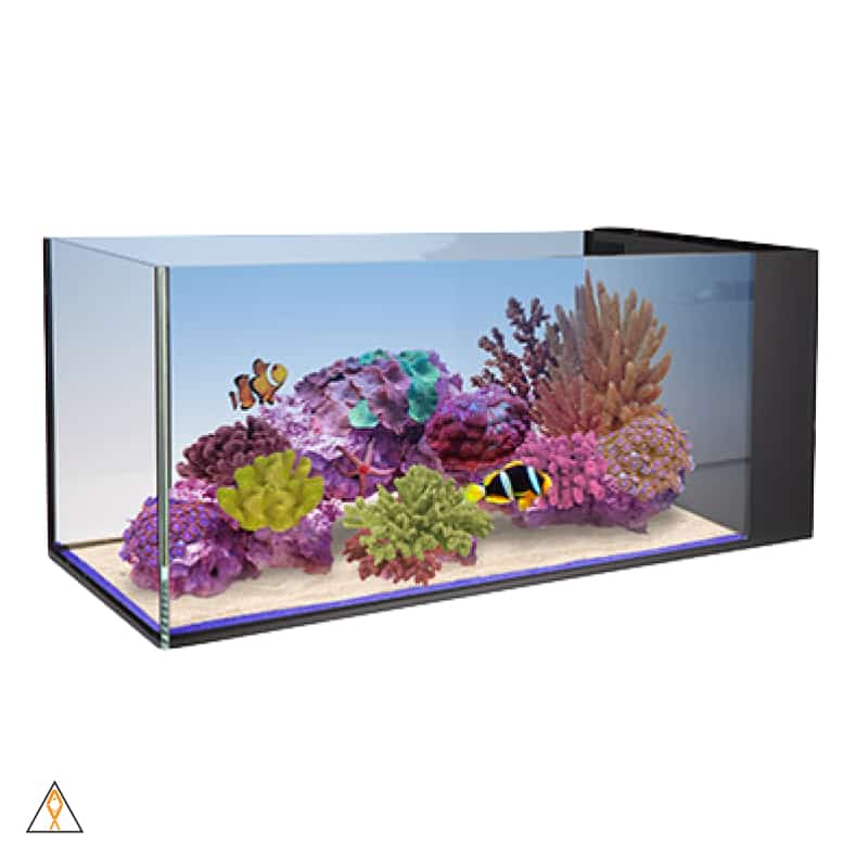 Aquaplum' Coraux - Fabrication d'aquariums