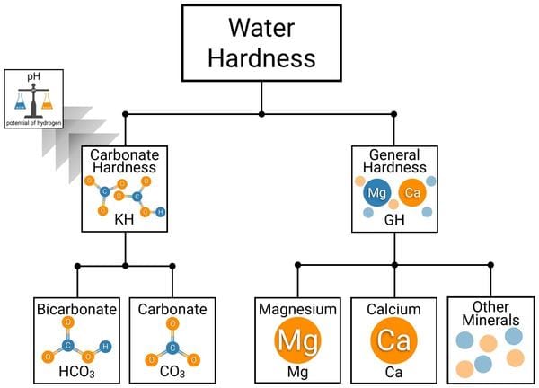 Water Hardness (KH and GH) in freshwater planted aquariums | Aqua Lab Aquaria