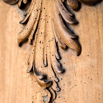 Borer holes on wooden furniture