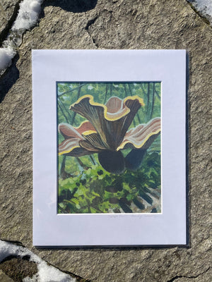 Velvet Pax Print - Florence Farmstead