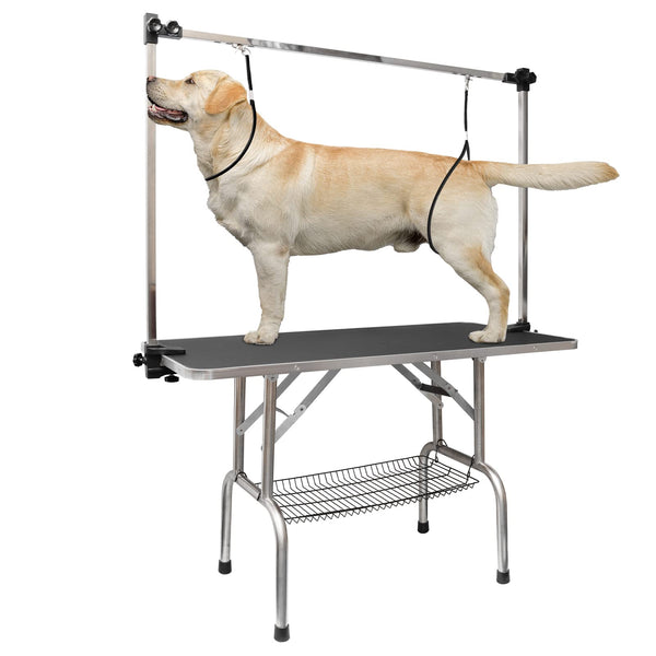 a Double Arms Dog Grooming Table