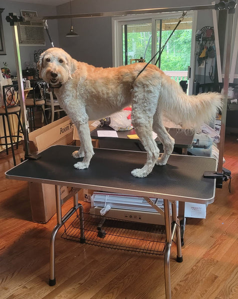 Grooming Tables for Large Dogs