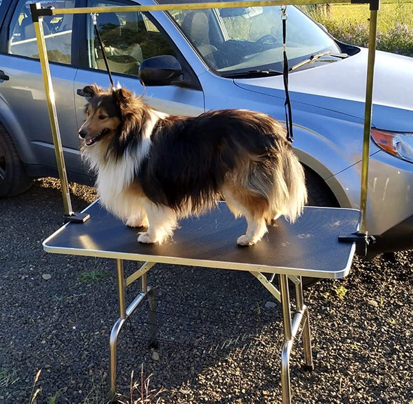 Beginner Dog Grooming Table A