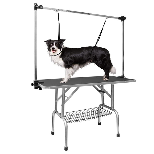 How to Use a Dog Grooming Table? D