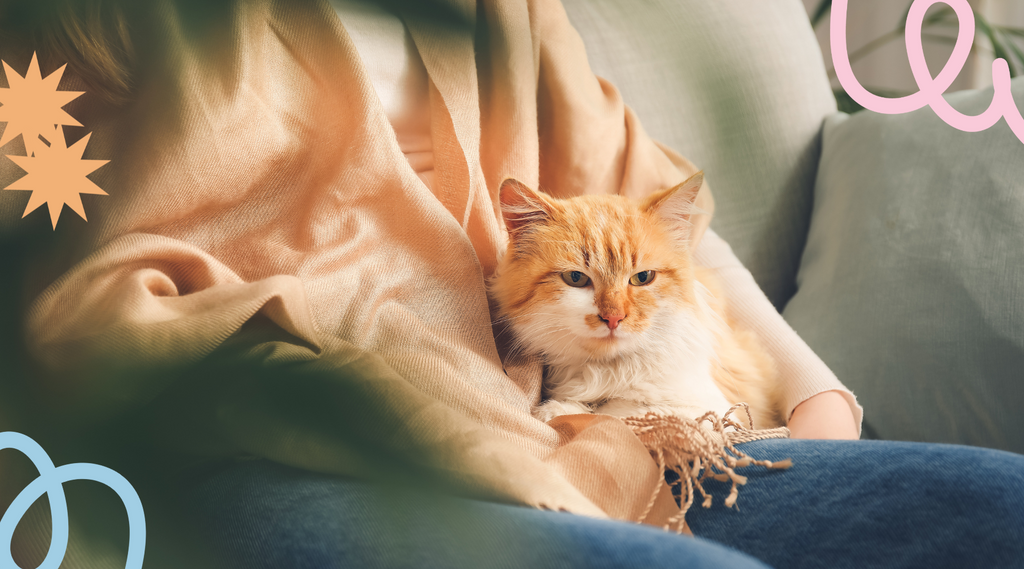 Cat and its owner relaxing together.