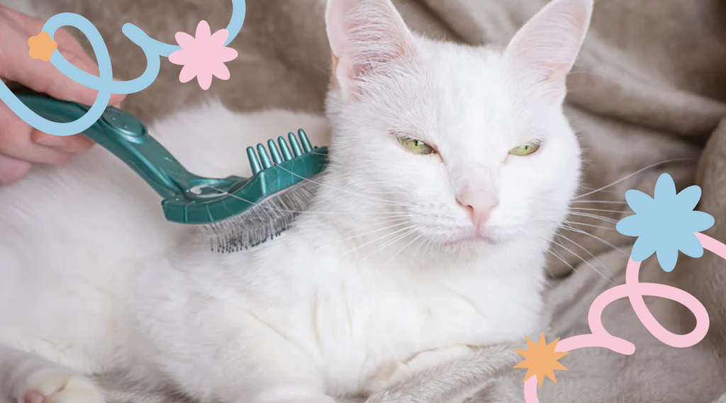 Content cat enjoying a grooming session with a comb.