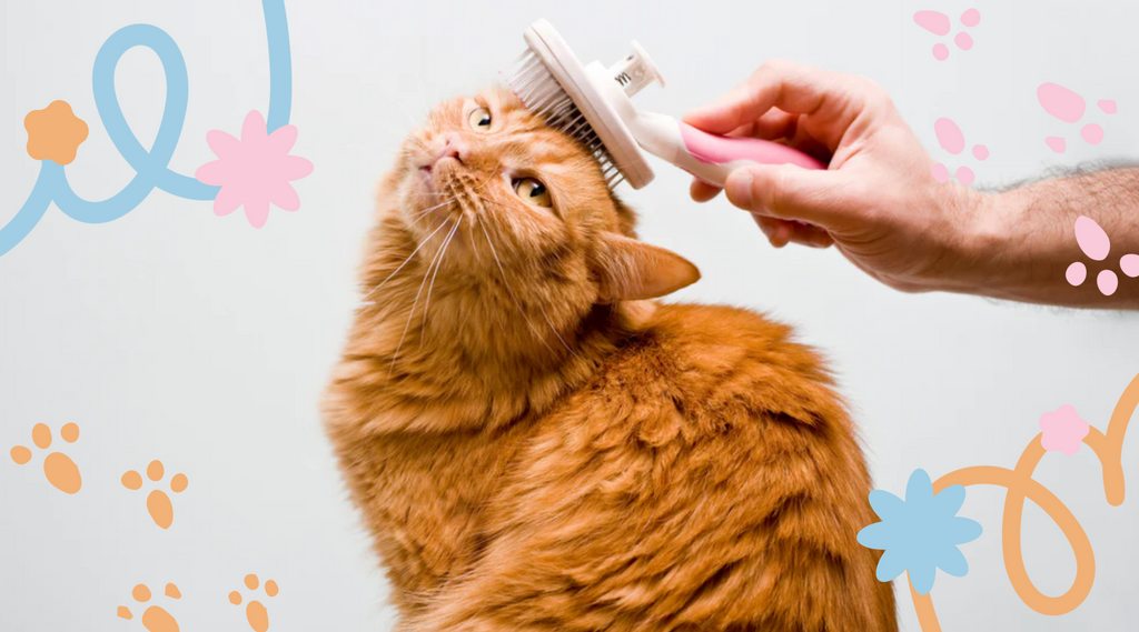 Cat mesmerized by the feeling of a good groom.