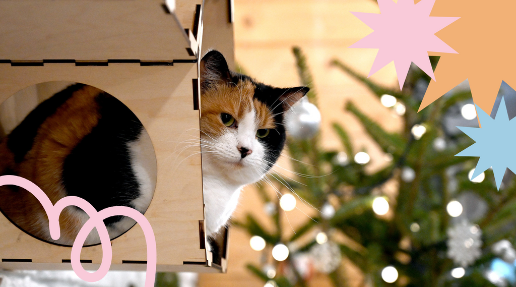 Whiskers peeking out from a cozy hideaway.