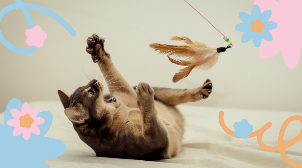 A cat playfully batting at a feather toy