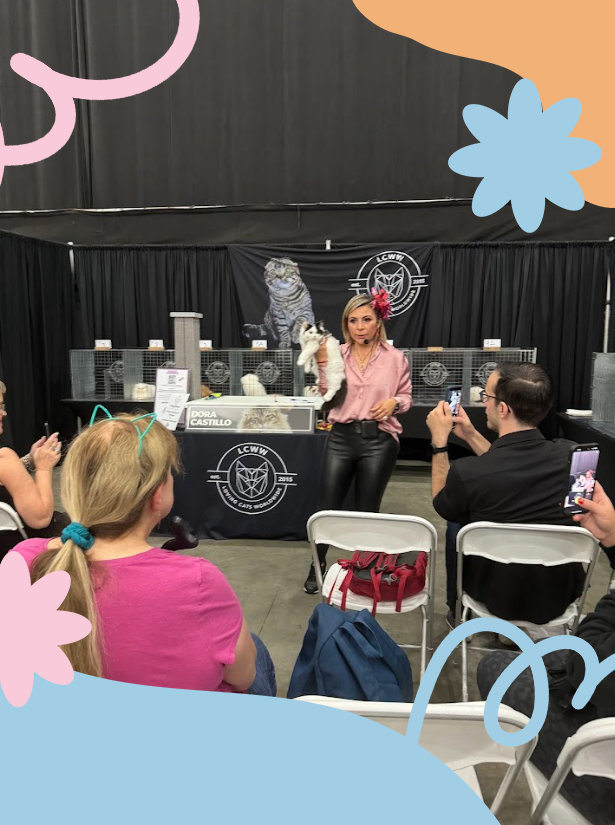 Audience gathers around a stage as an event host presents a purebred cat.