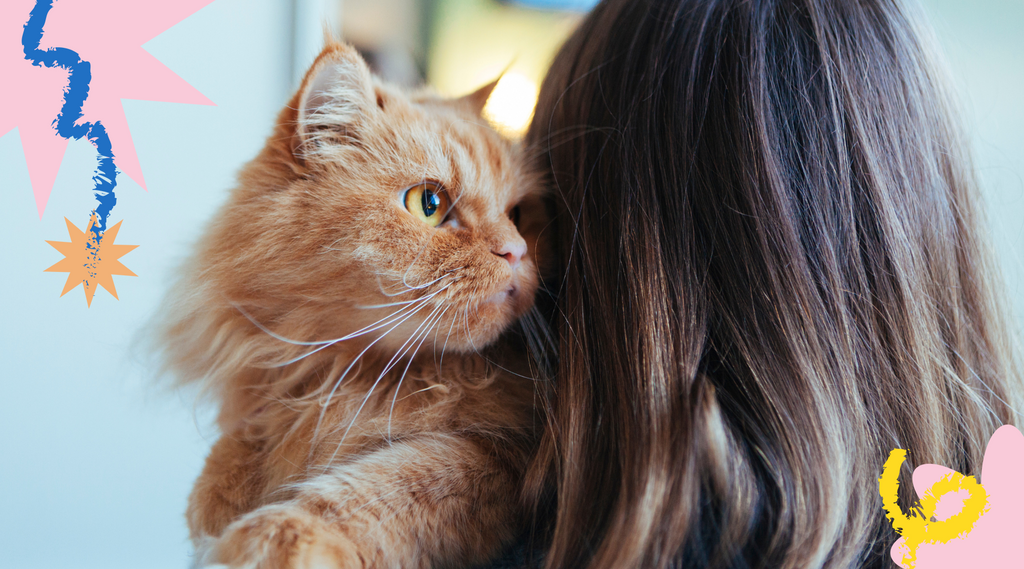 An image of a cat perched comfortably on a woman's shoulder, looking content and relaxed.