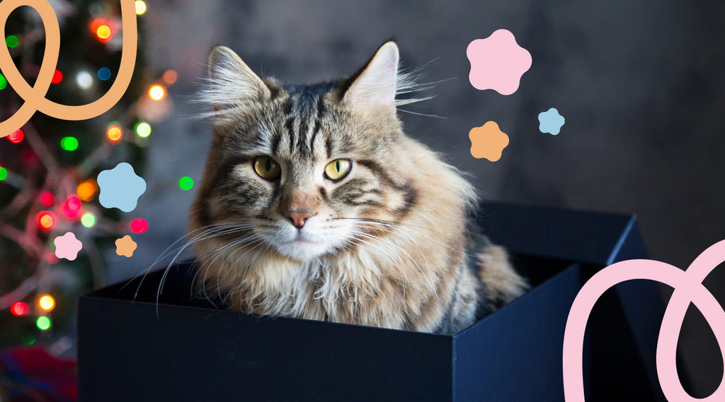 Cat nestled in a box amidst holiday decorations.