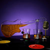 Electric Guitar Whiskey & Wine Decanter with 2 Pick Whiskey Glasses