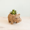 Baby Hippo Plant Pot