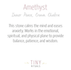Amethyst Energy Anklet