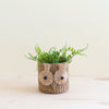 Owl 6" Seagrass Basket Planter