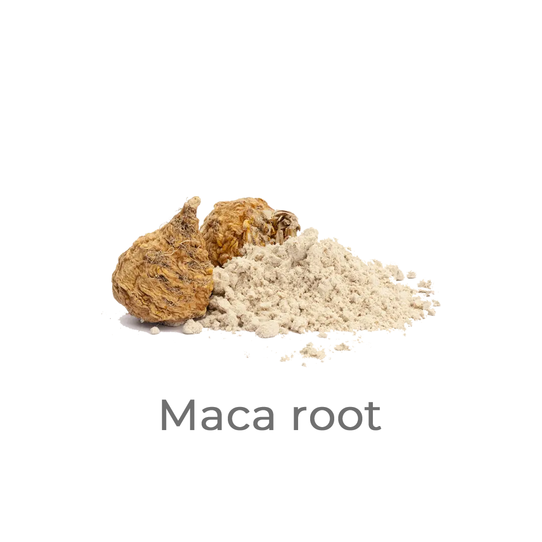 maca root benefits for men in hoenyx