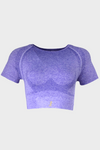 Short sleeve top purple