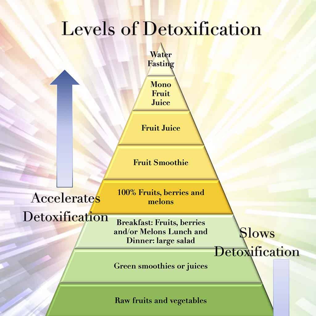 Levels of Detoxification PDF Dr. Morse's Herbal Health Club