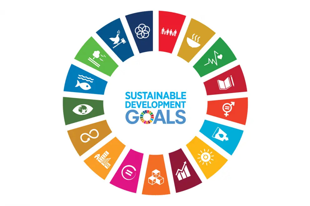 United Nations 17 SDGs