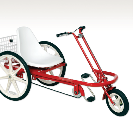 trailmate joyrider tricycle