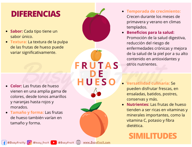 Diferencias y similitudes entre la fruta de hueso - Busyfruit