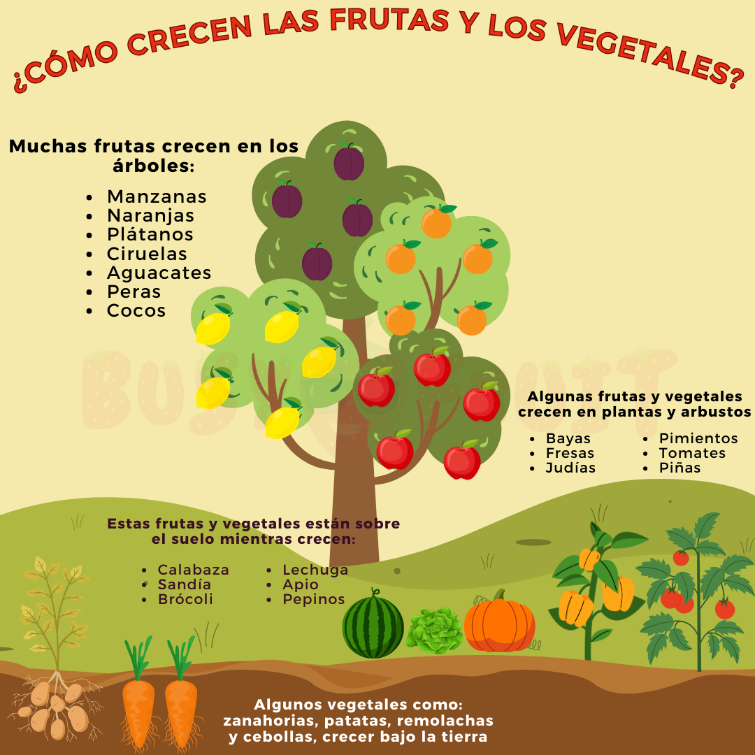 Frutas y vegetales - Busyfruit