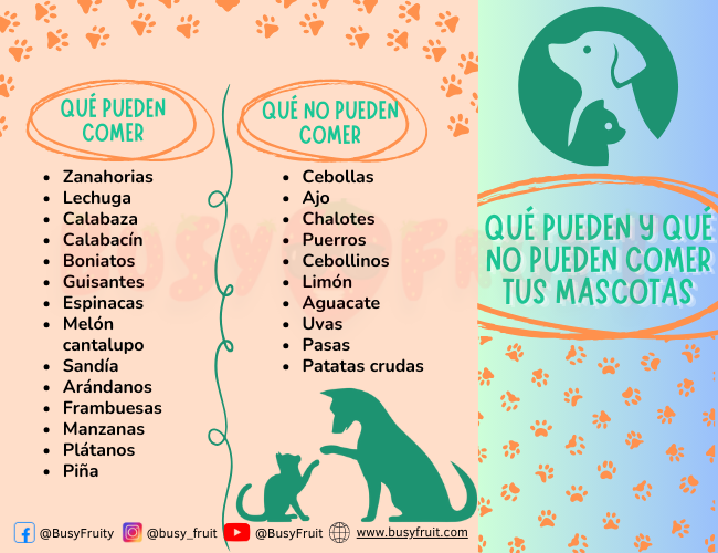 Qué frutas y verduras pueden y no pueden comer tus mascotas - Busyfruit