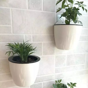 SOLEDI automatic water-absorbing flower pot Hydroponics wall-mounted plastic  home Wall-mounted Potted plant bonsai mini garden - Cloud9Oasis  - Self-watering