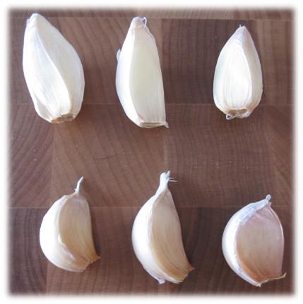 Different shaped garlic cloves