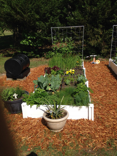 Vita Raised Garden Bed